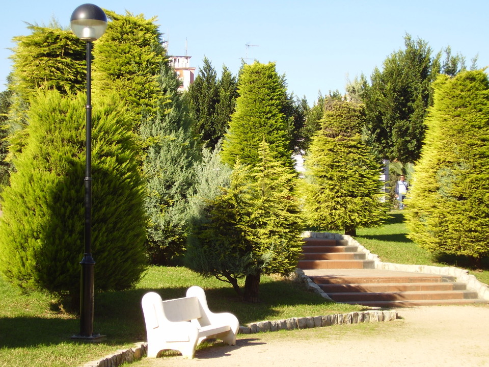 parque Alquenencia | Alzira (Valencia)