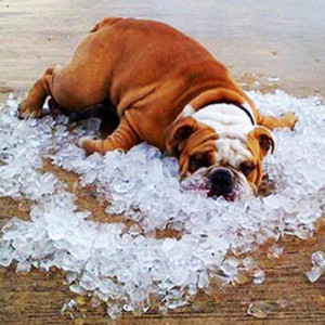 Trucos para no pasar calor en casa